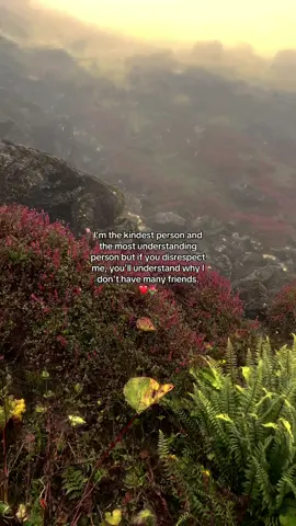 Episode-1815… I’m the kindest person and the most understanding person but if you disrespect me, you'll understand why I don't have many friends❤️🌷 #rachanaraai 