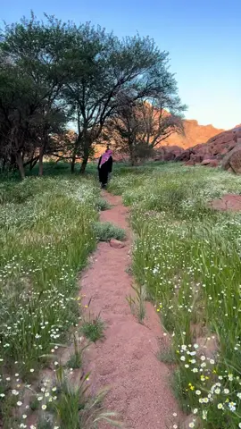 #ربيع_حايل #حايل #سعود_الشريم