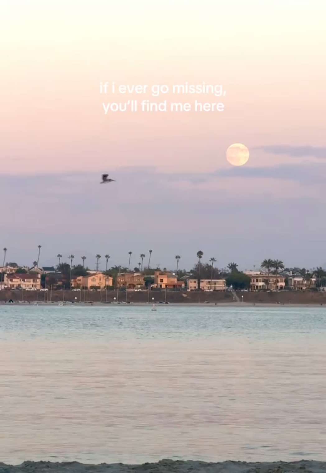 my happy place  #beach #ocean #happyplace #california 