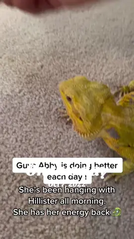 #onthisday 
