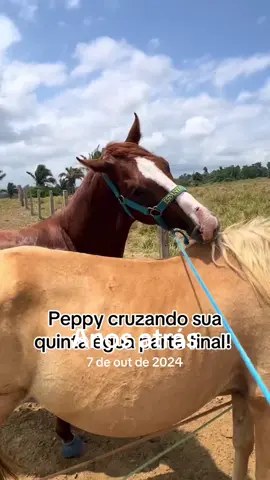 #anosatrás 