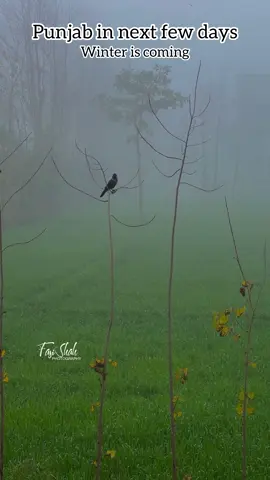 Mention your village 😇 #sargodha #fyp #foryoupage #fasishahphotography 