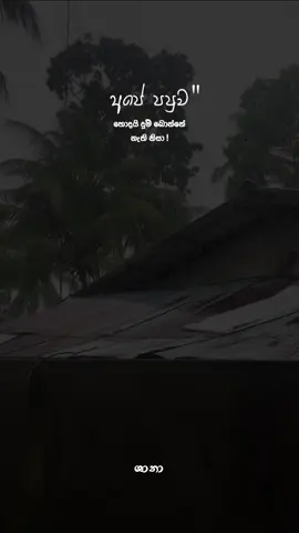 Comment අඩු වීඩියෝ ! #5h4n4l #srilankan_tik_tok🇱🇰 #south 