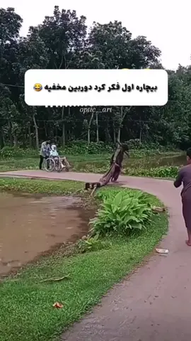 #creatorsearchinsights  #😂😂😂  #ppppppppppppppppppppppp 