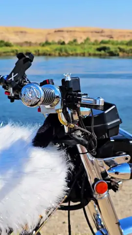 #القائد #foryouريف_حلب_الشمالي #ترند_تيك_توك #ادلب #شعب_الصيني_ماله_حل  @🦅القائد🦅 @🦅القائد🦅 @🦅القائد🦅 