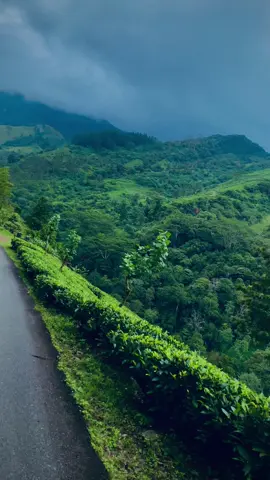 #trawaling_කියන්නෙ_ආසාවක්_තමයි🌏🚶😊💖 