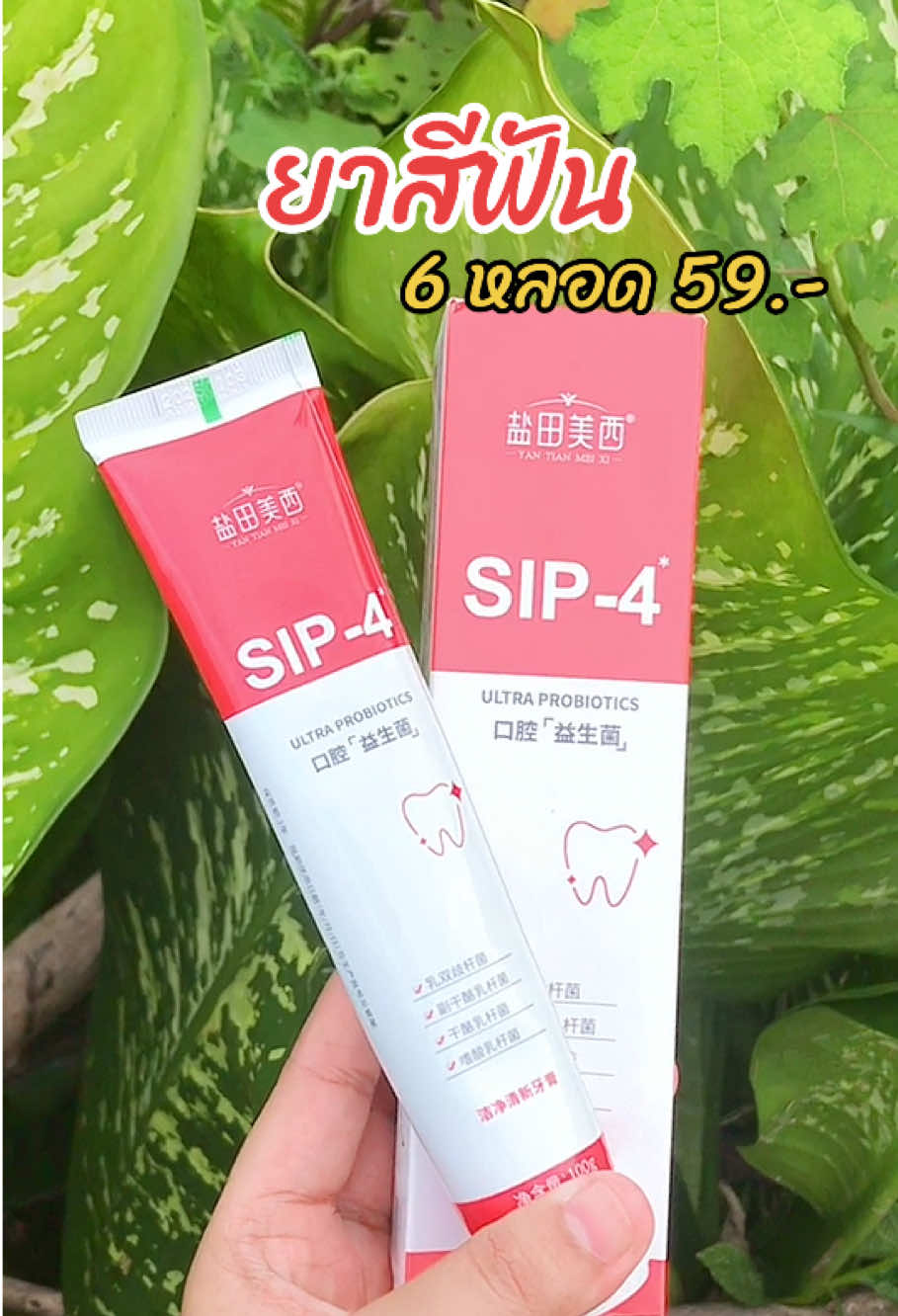 ยาสีฟัน 6หลอด59.- #ยาสีฟัน #ยาสีฟันsip4 #ยาสีฟันสมุนไพร #ยาสีฟันsip #tiktok 
