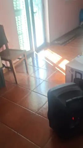 dia 12 de Outubro vote psd#foruyou #gratidão #live 