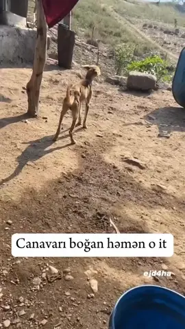😂