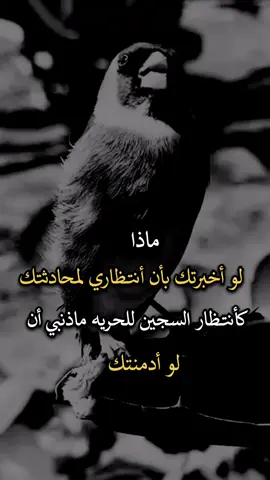 #اجمل_عبارة_راح_ثبتها📌 #عباراتكم_الفخمه📿📌 #افضل_عبارة_لها_تثييت 