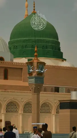 میری بات انکے ادب سے ہے🥹🫀💚views problem🥹#naatsharif #صلى_على_رسول_الله_صل_الله_عليه_وسلم #islamic_video #growmyaccount #fyp @✨HAYAT✨ @حیات 