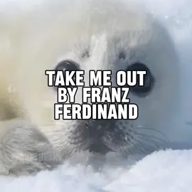 take me out by franz ferdinand seal music video  #seal #sealtok #takemeout #franzferdinand #lyrics 