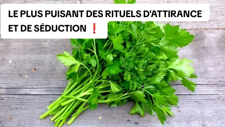 LE PLUS PUISANT DES RITUELS D'ATTIRANCE ET DE SÉDUCTION ❗    Celui qui est séduisant peut avoir la chance partout où il passe 😇    Vouci Un rituel de charme et de séduction très puissant , partout où tu passes tout le monde sera fou amoureux de toi  😇 ✨          #INGRÉDIENTS  - 01 bouquet de persil  -03 litres d'eau peu importe - 1 Verre d'eau - Le sel de cuisine - 1 Allumettes           #POSOLOGIE  Prends le bouquet de persil tu mets dans une marmite et ajoutes 03 litres d'eau puis poses au feu 🔥  Pendant 30mn et verses dans ton seau de bain et laisses refroidir et filtres , déshabillez vous complètement enlevez vos bijoux y compris les chaînettes et autres ! Prends ton bain normalement et après rinces toi avec cette eau verte sans savon ni éponge en faisant tes vœux et laisses l'eau séchée sur ton corps Ensuite, prenez un verre d'eau et ajoutez un peu de sel et bien remuer  (Rester toujours nue pendant tout ce temps , ne portez pas encore vos habits).  et  récitez cette incantation sur le verre d'eau salée : 
