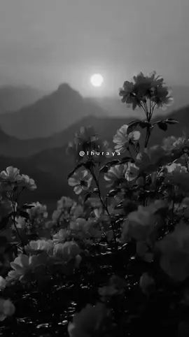#خواطر#اقتباسات#حكم #اكسبلور#تصميمي