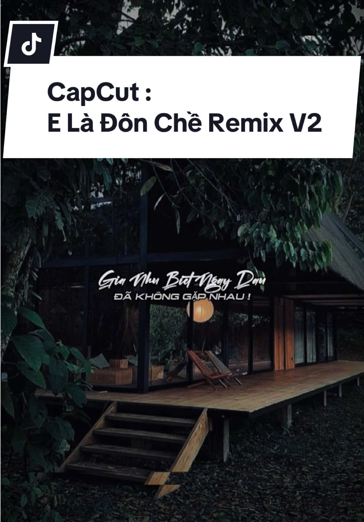 Giá Như Biết Ngày Đầu Đã Không Gặp Nhau… #CapCut #xuhuong #bietchua #nhacremix #eladonche 