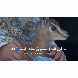 . 😭💙💙 . . ✨Comments. #مجرد_ذوق👌🏻😻 ‏ _______________________________________________________-{#عيضه_المنهالي} {#ميحد_حمد} {#ناصر_المنصوري} {#غرام} {} {}{}{} {}{}{}{}{}{}{}{}{}{}{ } {} {}‏{