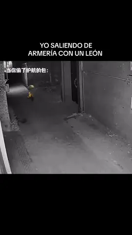 #arenabreakoutmobile #arenabreakoutglobal #arenabreakout #goldenlionslegion #arenabreakoutespañol 