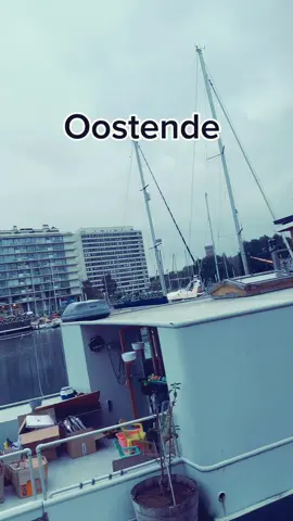 #پشتون_تاجیک_هزاره_ازبک_زنده_باد🇦🇫 #belgium #oosten 