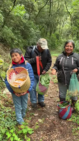 Salimos al campo y encontramos de todo para comer 🌿🍄#plantas  #campo #comida #naturaleza 