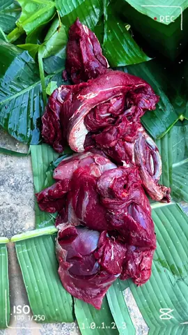 มีแค่นี้ก็กินแค่นี้#ฟีดดดシ #เปิดการมองเห็นเถอะ🥺🙏 #ดันขึ้นฟีดทีเถอะ #CapCut 