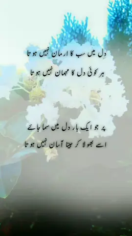 #reposted #برائے مہربانی ”ہاں“ یا ”نہیں“ کے ساتھ خالی جگہ پر کریں#repost #😭😭😭😭😭😭 