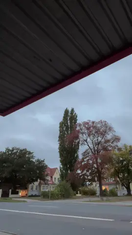 #gönndochfy #gönnbittefyman #fy #fakesmoke #fypシ゚viral🖤tiktok☆♡🦋myvideo❤️❤️🥰🥰🥰 