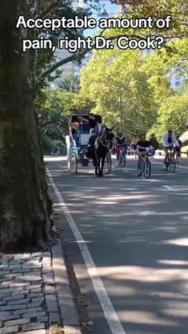 #carriagehorse #centralpark #nyc #horse #fyp 