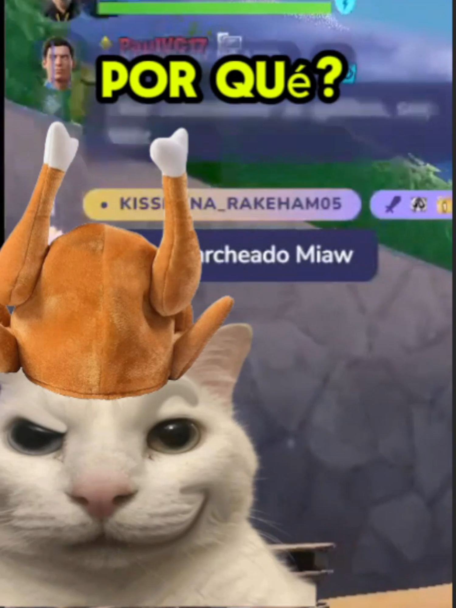 ¡¡Una comunidad de gatitos!! ¿Qué no dice MIAU? 💔 Directos en TTV: IlovecheryVT! #vtuberespañol #vtuberclips#cherycitos#ilovecheryvt #fyp  #paratiiiiiiiiiiiiiiiiiiiiiiiiiiiiiii