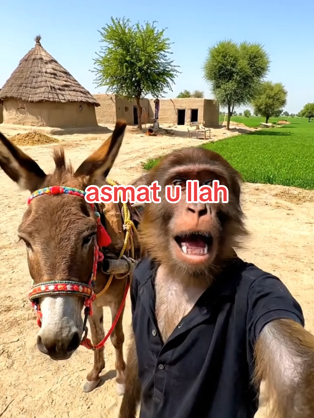 asmat u allah, name comment karo, #monkeyvideos #fyp #viral 