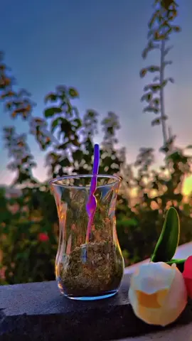 الجميع يبحث عن ظل، لكن لا أحد يريد أن يزع شجرة ... 