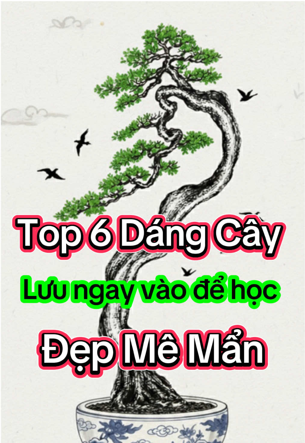 Sưu tầm 6 dáng cây bonsai đẹp ngẩn ngơ#bonsai #caycanh #dangcaydep #demobonsai 