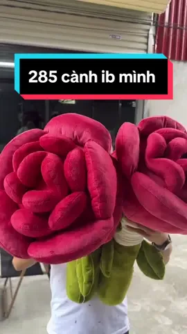 Cận cảnh hoa Hồng khổng lồ 80cm siêu to đẹp-rẻ #hoahong #hoahongkhonglo #xuhuong2025  ! 