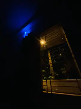 আমার পুরোটা জীবন তোমার করে দিবো।  শুধু তোমার জীবনের এক বিন্দু ভালোবাসা আমাকে দাও! 😅#fyp #foryou #trending #nirjhor #unfrezzmyaccount 