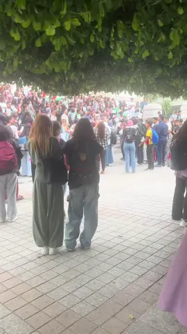 Tunis Students Protesting 🇵🇸