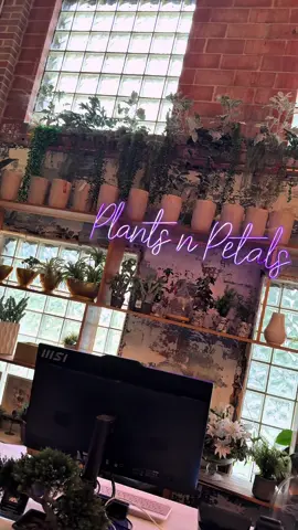 @plantsnpetals is a complete wonderland!!  #fypシ #plants #flowers #floral 