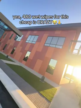 That’s a lot wipes for so cheap 🤩 #wetwipes #flushablewipes #hygieneproducts #tiktokmarketplace #tiktokmademebuyit 