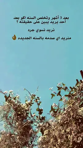 نريد نسوي جرد 😅👌 #عباراتكم_الفخمه📿📌 #عباراتكم_اصمم_عليهآ #اضافة_لايك_متابعة_اكسبلور #تصويري📷 #تصويري_احترافي_الاجواء👌🏻🕊😴 