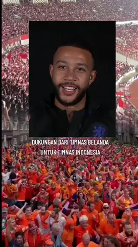 DUKUNGAN TIMNAS BELANDA UNTUK INDONESIA  🇮🇩 BELANDA 🇱🇺 🔥🔥🔥 #timnasindonesia #belanda #kualifikasipialadunia2026 #fyp 