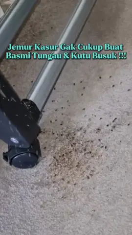 ih jangan sampai kasur kalian banyak tungau kayak gini! 😖 #wiselieindonesia #gajiansale #pengusirtungau #pembasmitungau #sprayantitungau 