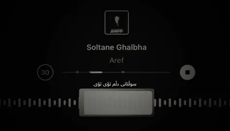Aref - Soltane Ghalbha .. .. .. #rashaysket #8736_qaid #foryou #foryoupageofficiall #fyp 