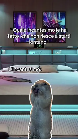#Meme #MemeCut 