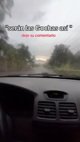 #gochosporelmundo🇻🇪🌎 #venezuela🇻🇪 #gochas #humor  #viralvideos 