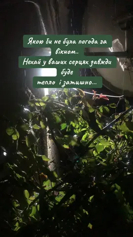 #адощстікаєповікні#музикадлядуші#почуття#рекомендаціі#