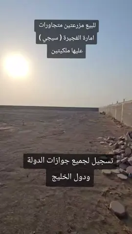 للبيع مزرعتين متجاورات منطقة سيجي  مساحة المزرعتين الإجمالية 303,562 قدم مربع تفاصيل المزرعه الأولى: المساحة= 148,800قدم مربع زاويه حره من ٣ أطراف. سور بناء مسلح ٣ أطراف. بئر ماء عذب مياه غزيره. أرض خصبه للزراعه. ثلاث مئة متر فقط عن الشارع. تفاصيل المزرعه الثانية: المساحة=153,751 قدم مربع سور مسلح ٣ اطراف. فله(استراحة) تصميم رائع غرفتين نوم وصاله كبيره ومطبخ وغرفه جلوس خارجية و٤ دورات مياه ومسودع وحوض سباحه للكبار والصغار. حضائر مواشي. غرفتين للعمال. فيها ٤ آبار مياه عذبه وفيره . مزروعه عباره عن قرابة ٧٠ نخله من أجود الأنواع . #الامارات #ابوظبي #دبي #العين #الفجيرة 