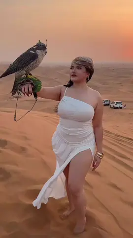 #sandboarding #desertsafari #dubai_dxb_uae #dubai #Dubaitour 