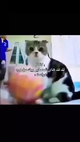 لك هاي صاير بيك من ورة دراسة:POV..., إعادة نشر ممكن 🙆😍  ..................................................           #trending #capcut #كسبلور_explor #لايك_متابعه_اكسبلور #مدرسه 