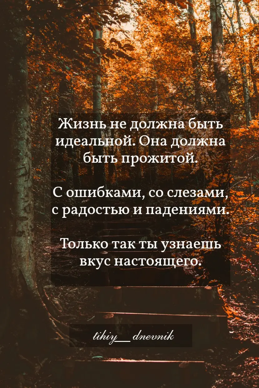 #tihiy__dnevnik