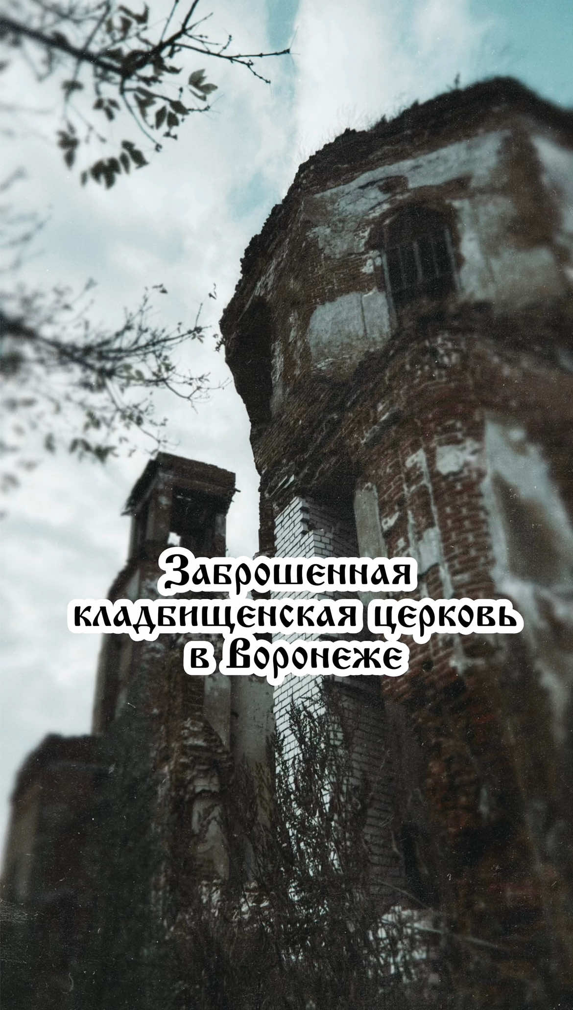 ПРИЗРАКИ ЦЕРКВИ БОГОЯВЛЕНИЯ ГОСПОДНЯ в селе Губарёво Семилукского района  Воронежской области 🕯️В 1657 году в селе Губарево была возведена деревянная Богоявленская церковь, которая затем перестраивалась в 1701 и 1800 годах. Каменный храм, сохранившийся до наших дней, появился в 1800 году на средства местного помещика, майора Ивана Иоакима Невежина. 🕯️В 1929 году церковь была закрыта по решению властей-большевиков:  внутреннее убранство разгромили,  алтарь подожгли, а колокола сбросили. Наконец, один из большевиков полез наверх,  чтобы снять кресты, следом за ним  увязался и местный житель.  Лестница не выдержала и рухнула.  Парень погиб на месте. 🕯️В мирное время его бы, наверное,  оплакали всем селом, но тогда люди решили,  что это возмездие. Гроб ему не сделали –  тело просто завернули в кусок ткани  и предали земле.  Говорят, с тех пор его неупокоенная душа  все еще бродит рядом с храмом. 🌙🕯️💀 ____________________________________ #семилуки #воронеж36 #vrn36 #воронеж  #заброшки #церкви #храмы (семилуки, губарево, воронеж, заброшки воронежа, церкви, храмы, заброшенные церкви, заброшенные храмы)