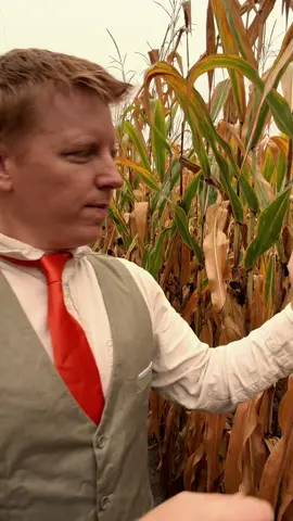 ASMR Corn Field Massage #asmr 