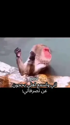 I don't care💅😂 #fyp #fyppppppppppppppppppppppp 